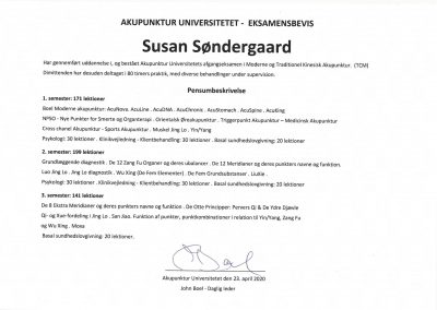 akupunktur universitetet - Susan Søndergaard